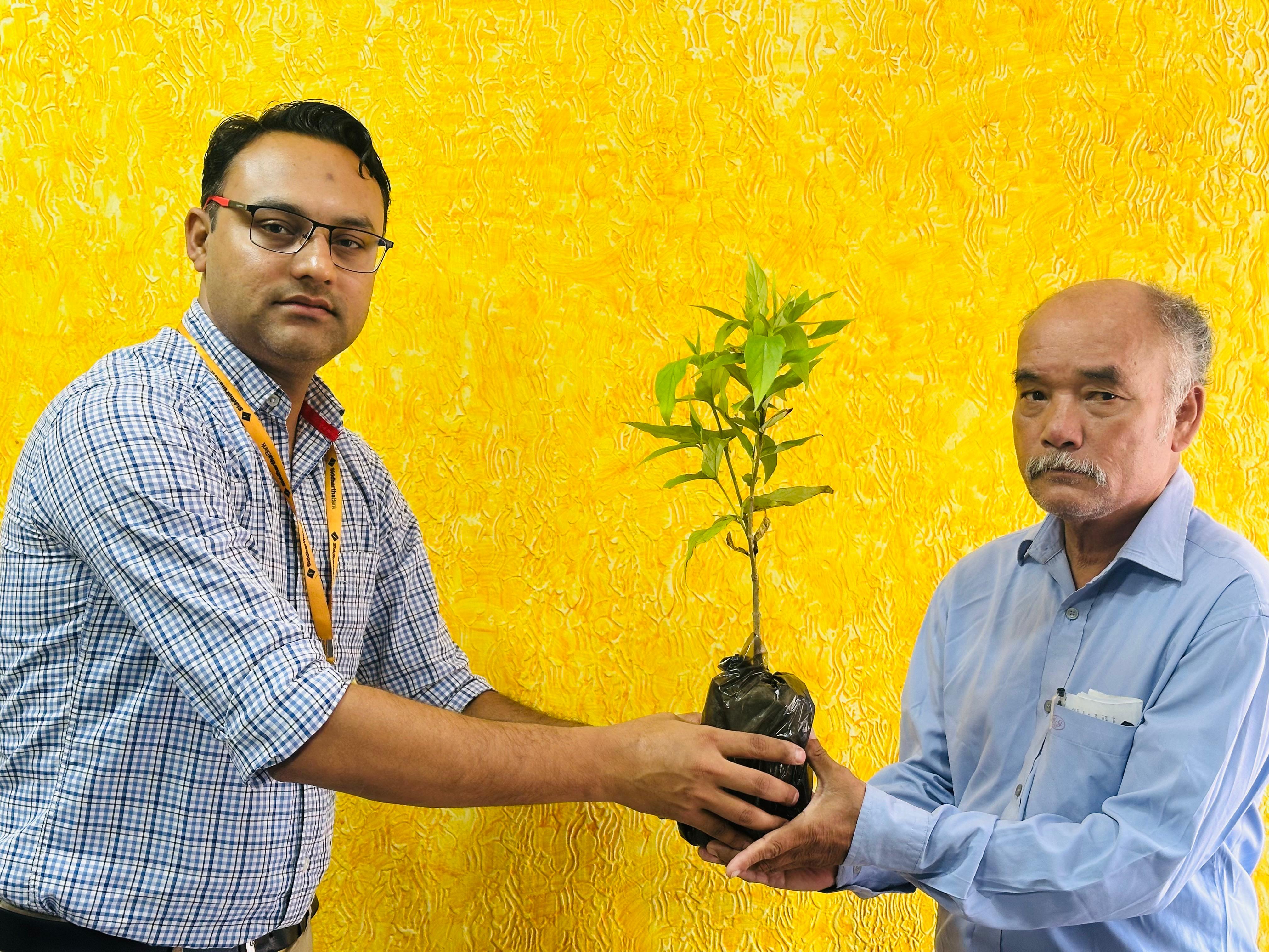 Plant Distribution on the Occasion of World Environment Day 2025